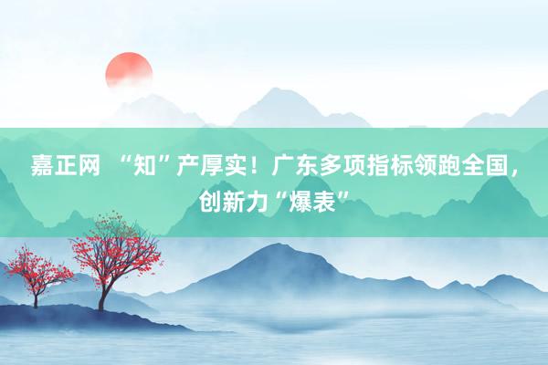嘉正网  “知”产厚实！广东多项指标领跑全国，创新力“爆表”
