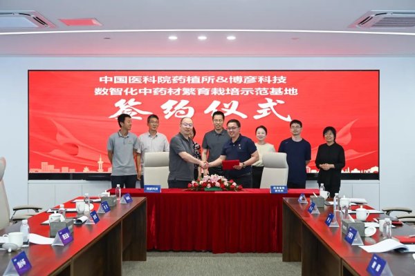 创牛配资 中药材种植步入数字时代！博彦科技“1+1+3+N”模式助力传统产业升级